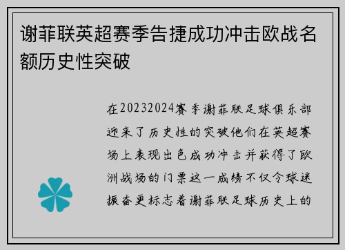 谢菲联英超赛季告捷成功冲击欧战名额历史性突破
